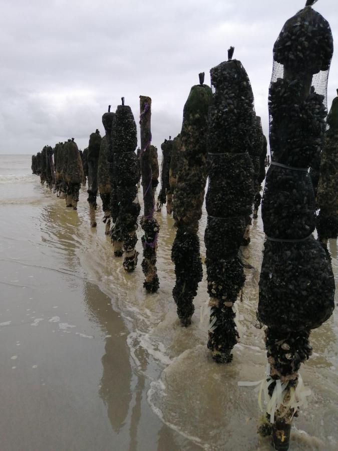 Le Cocon Des Dunes Quend Buitenkant foto